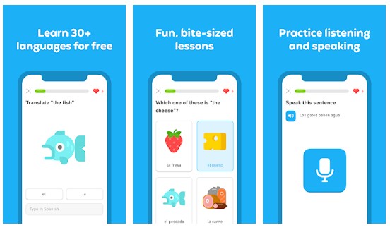 Duolingo Best App to Learn English