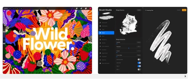 Procreate App for Drawing on iOS